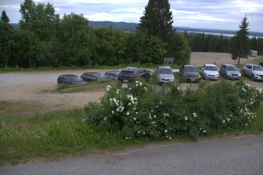 Kesätanssikaksi